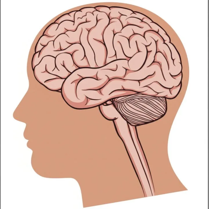 image-5 Understanding Migraine: Types, Treatments, and Future Outlook