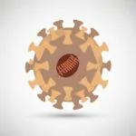 Chikungunya: The Bent-Over Fever Spreading Globally