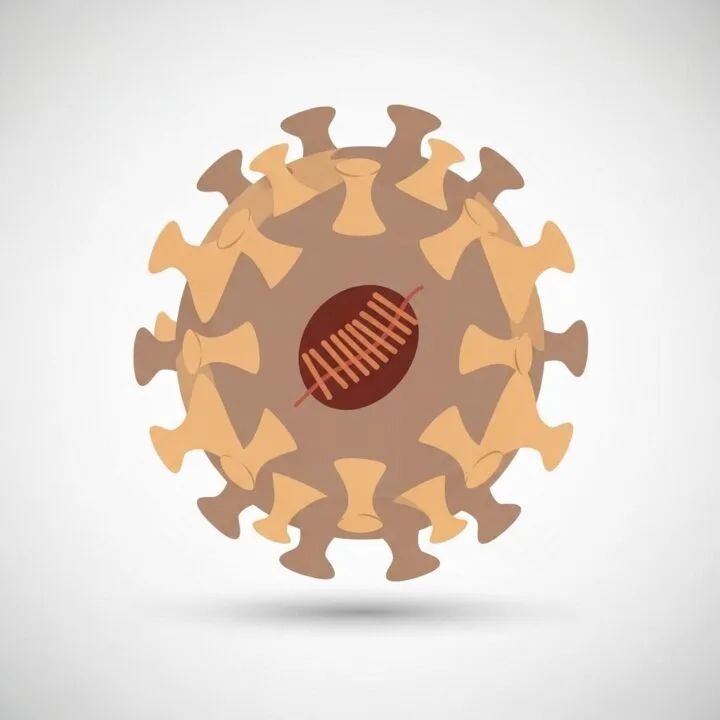 Chikungunya: The Bent-Over Fever Spreading Globally